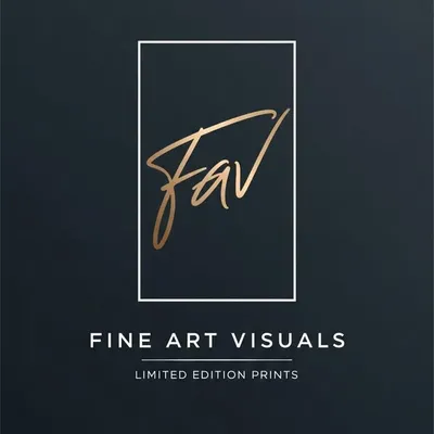 Fine Art Visuals profile