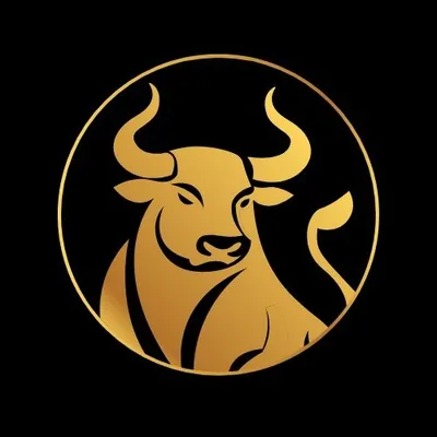 Fin Lab Consulting profile