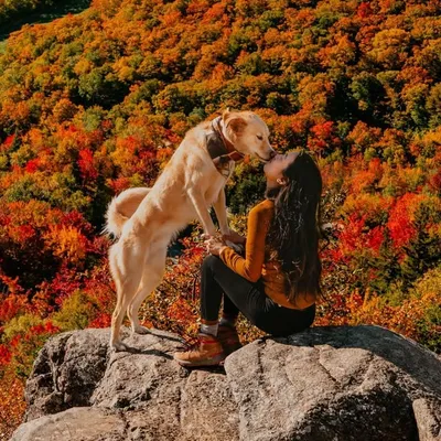 Finn & Amanda profile