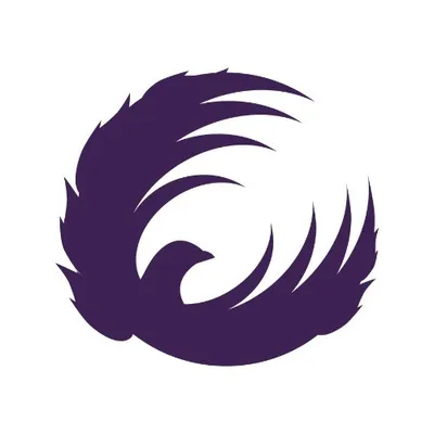 Queensland Firebirds profile