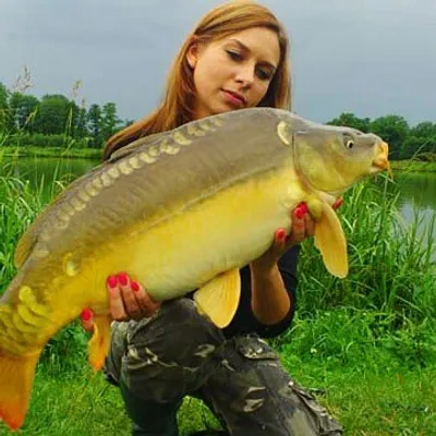 С РЫБАЛКОЙ🎣🐠 НА ОХОТУ🐗 profile