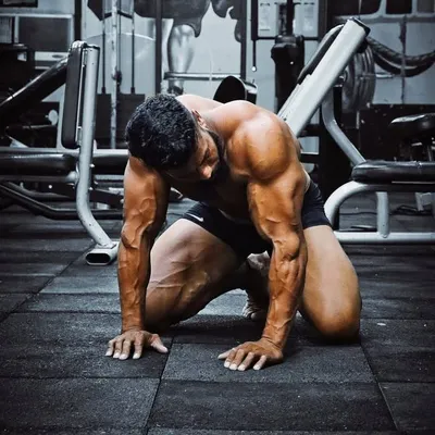 Saifi profile