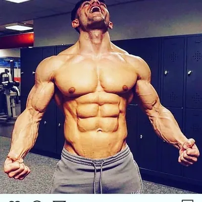 gym india profile