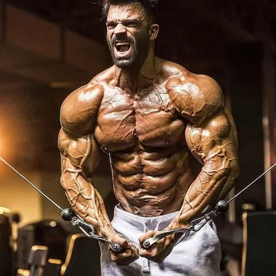 fitness__workoutput profile