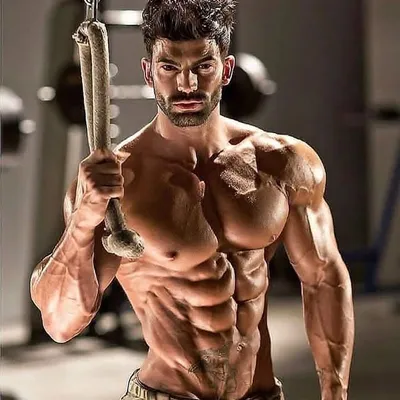 fitnesstraining_ profile