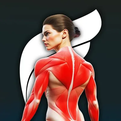 Fitonomy App Community🌱 profile