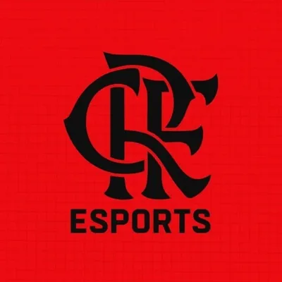 Flamengo Esports profile
