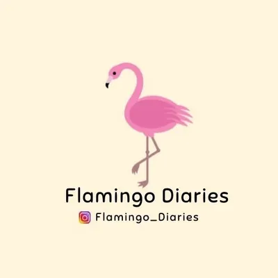 Flamingo Diaries profile