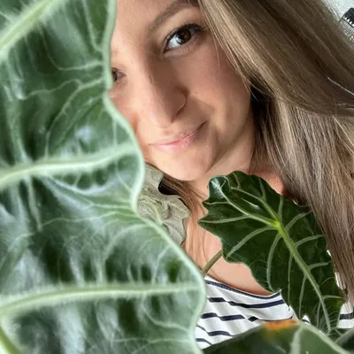 Karola • Wnętrza • Przepisy • Rośliny profile