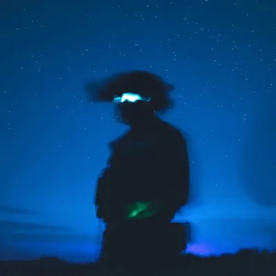 Flemys profile