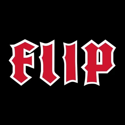 Flip Skateboards profile