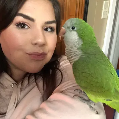 michelle’s flock profile
