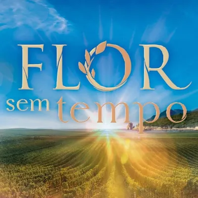 Flor Sem Tempo profile