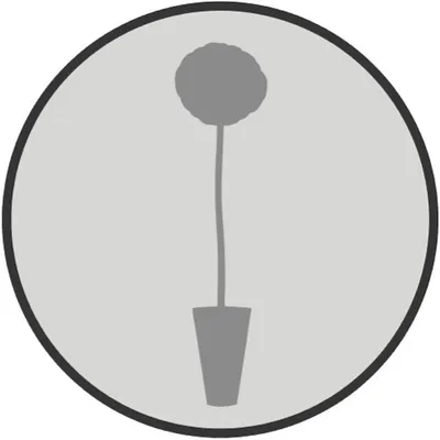 floramorochkrukatos profile