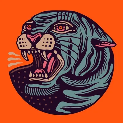 Florian Schommer profile