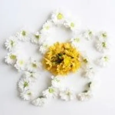 floriografia profile