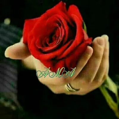 آشپزی گل رز profile