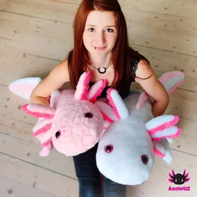 AxolotlZ profile