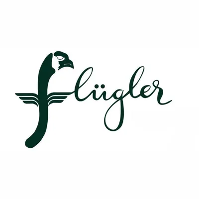 Flügler Hostels profile