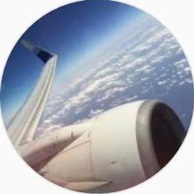 Fly Lpp profile