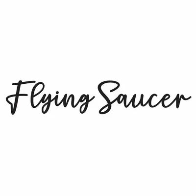 Flying Saucer Delhi profile
