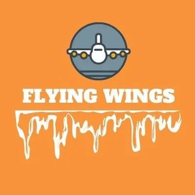 FlyingWingz โ๏ธ๐ profile