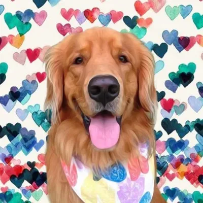 FLYNN | GOLDEN RETRIEVER profile