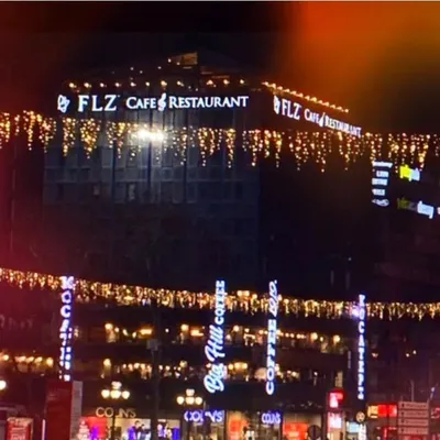 Flz Cafe & Restaurant profile