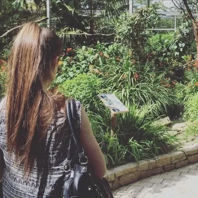 🇫🇷 Stéphanie. M profile
