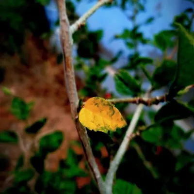Focus on photograhy profile