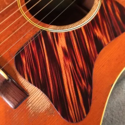 Folkway Music profile