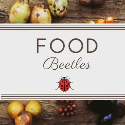Food_beetles profile