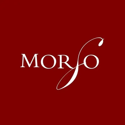 MORSO profile