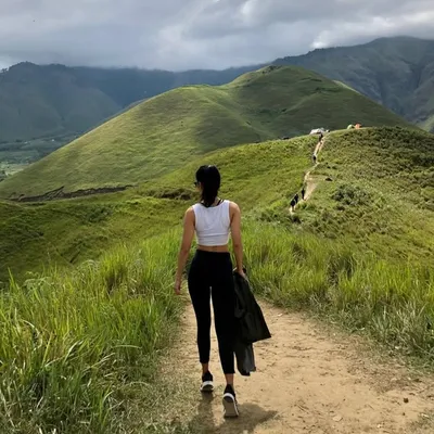 C profile