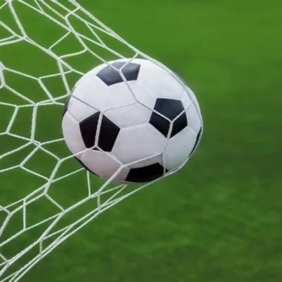 fifa_world_cup profile