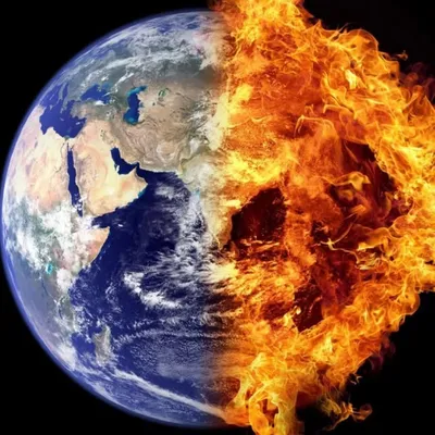 SAUVE LA PLANETE profile
