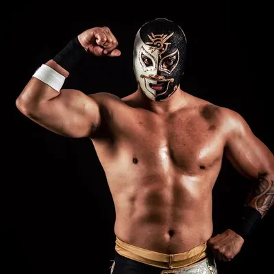 Forastero Dinamita profile