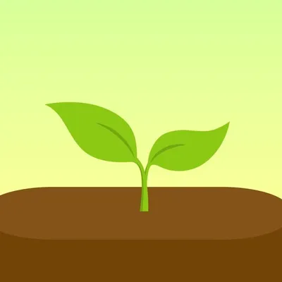 Forest profile