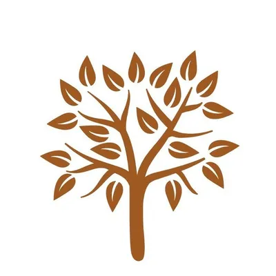 Forest Minerals ® by Sabah profile