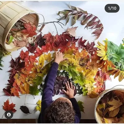 For the Love of Homeschooling profile