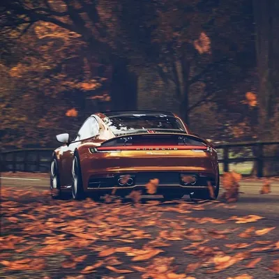 Forza Games Photography profile
