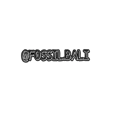 FOSSIL BALI USA Instagram profile photo