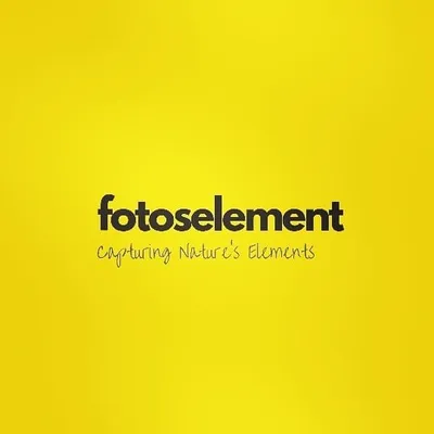 fotoselement profile