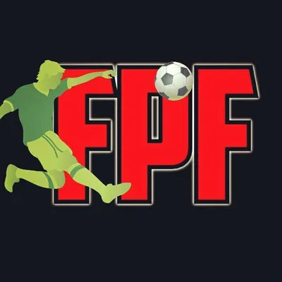 Fanaticos Por Futebol profile