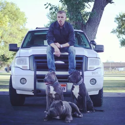 FPM Kennels profile