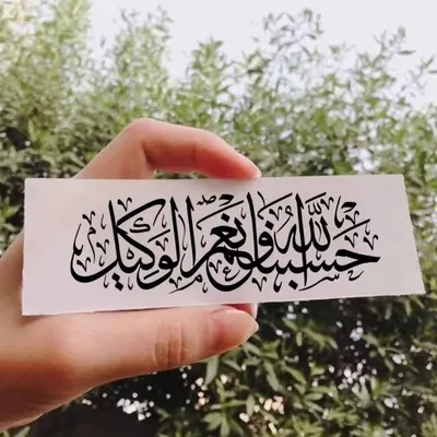 فاطمه پورکلهر profile