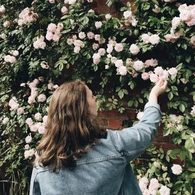 Frances profile