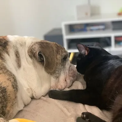 Frankie & Lily Florentin profile