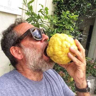 Frank Prisinzano profile