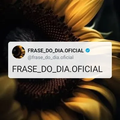Frase do Dia Oficial profile